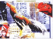 ตำนานและประวัติไก่ชนกับพระนเรศวร ( เหลืองหางขาว )