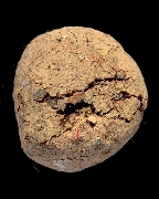 �١���ҹ��ҡ��ͷ�ҹ����� �Ѵ�ǹ�ѹ �����ո����Ҫ(7)