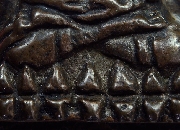 ���������ǧ��ͷǴ 05 ��ѧ���մ������˭��� ���͹������