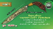 ((����û�Һ�èѡ� �մ���෾��ʵ����һ�Һ ��ǧ������� �Ѵ�������))