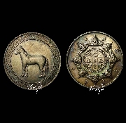 ����­�ѡ�ѵ� ��������