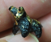 ��Ǹ�٤��觾ط�� ��ǧ��;ز �Ѵ��ҧ�ҧ��� ��û��