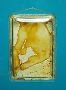 �ٻ������ǧ��������� ������ҧ�� ��2497