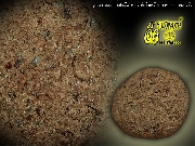 �١���ҹ��ҡ ��������� ��ͷ�ҹ����� �Ѵ�ǹ�ѹ