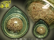 �١���ҹ��ҡ ��������� ��ͷ�ҹ����� �Ѵ�ǹ�ѹ