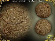 �١���ҹ��ҡ ��������� ��ͷ�ҹ����� �Ѵ�ǹ�ѹ