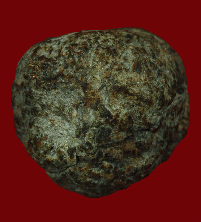 My Image 61
