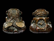 ��лԴ�ҹ��� ���ͷͧᴧ���͹ �͡�ѹ4�͡