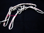 �������Ҩ������ͧ ��ͧ��ҹ