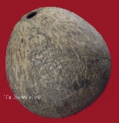 ���ҵ����������� ��ͷ�ҹ��� �Ѵ���������� (�)