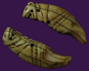 ������� �ٻ����