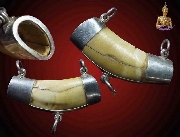 ++��������������觿��++ No.�