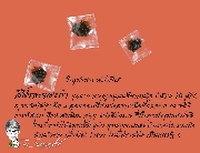 �ռ�駾��ͧ��