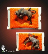 ��Ǹ�����������Ҷ�þ� 7 ��Դ ��ٺҺح����  �Ѵ�����ҹ��