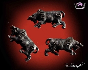 ��Ǹ���Ҩ����������ɳ� �ԧ���