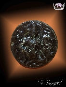 ͧ���ͨ�ؤ�� ����Ҩ����ҵ�� �������