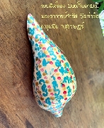 ����ѧ��ͧ ����Թ����� ����Ҩ�������� �Ѵ�����͹ �ع�Թ ������