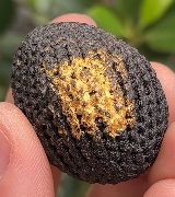 ������ ��ǧ����ʹ ������ �Ѵ�С͡