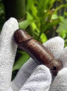 ��Ѵ�ԡ �ش��ͷ ��Ż ���١��� ���Ѻ Ż.�ǹ