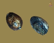 ������ ��ǧ��ͺح��� �Ѵ����Ҵ