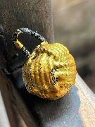 �١�С��� �Ҩ����ͧ ʹ���ʹ (��Ҵ���)