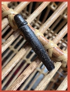 ��Ѵ�ԡ (�����������) ��ͷ�ҹ�š �Ѵ����ͧ