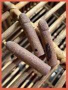 ��Ѵ�ԡ ��ǧ������¹ ������׺�ʹ��ǧ����Թ �Ǵ� (��� �ҽҡ)