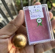 ��ͷ��� ���������¡�ͧ��