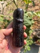 ��Ѵ�ԡ ��ǧ������¹ ������׺�ʹ��ǧ����Թ �Ǵ� (����ҡ������������)