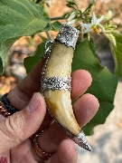 ��������� ������ ������������Թ