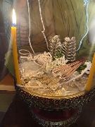 ����­⪤�������ö�� ��ЭҤ��������� �Ѵ���ʹ�����