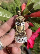 �����õ�ᴧ˹���١ �ؤ�� ��Ƿͧ���ķ��� �͡��ͷ