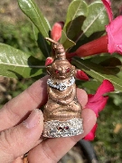 �����õ�ᴧ˹���ԧ�˭� �ͧᴧ���͹ �ؤ��