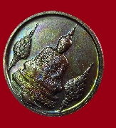 �������á� ��ѧ ���.  2525