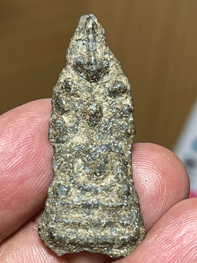 ��йҤ�á ��ؾԨԵ� ���ͪԹ����