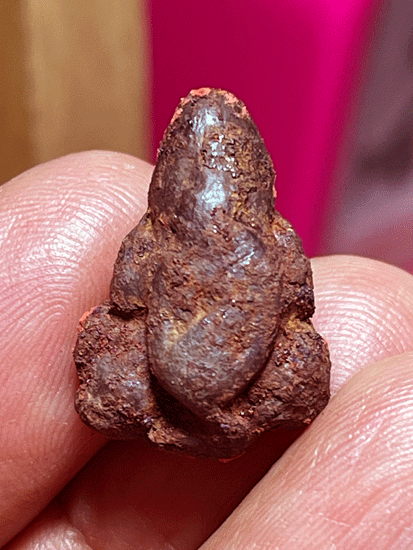 ��лԴ�����ҧ�� ��ǧ���ѹ��� �Ѵ���� �.�������