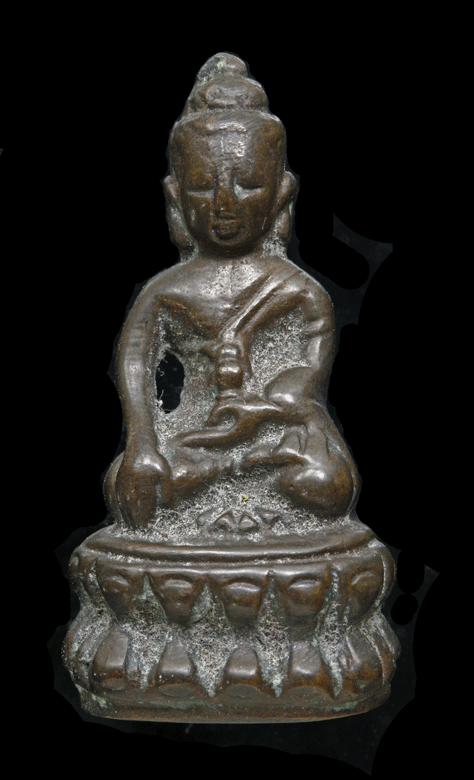 ��С����ѧ�� �����������