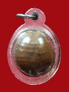 �١��ҷ �.����Թ �Ѵ�͹���� �ѷ�ا ���������2�١