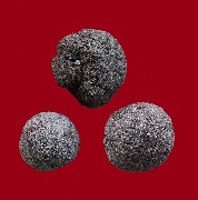 �١����ҹ�� �Թ�����"����ʹ� �.��ШǺ ������� �ش���2