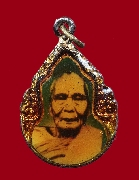 ��͡�� �.�� �Ѵ�͹���� �.�ѷ�ا ��2529(�Ѵ�Ѵ���ҧ �ؤ��)