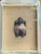 ��蹾¹��һТ�� ��ͷ�ҹ����� �Ѵ���ҷͧ �.�ѷ�ا ����á ��2548(��觢��)