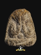 ��лԴ�ҹ��� �.�� �.��� �¤��� �����2˹��(�ʴ稡�Ѻ�ҡ����)