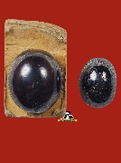 �����ǹ������� �.��� �¤���