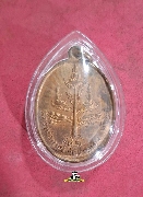 ����­�����ҧ������ �.��ع �Ѵ��ᴧ ����á ��08