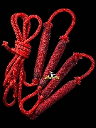 �С�ش�Ԫ��ʧ���� �.��� �¤��� �����º���§ ��21(��Դ1�͡���4�͡)