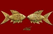 ปลาตะเพียนหลวงพ่อเต๋ คงทอง วัดสามง่าม นครปฐม ยุคแรก ปี ๒๕๑๑