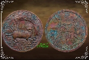 เหรียญเสือนอนกินแช่น้ำมันเสือ พระอาจารย์ประสูติ วัดในเตา  ปี 2549  (เหรียญ ที่ 5)