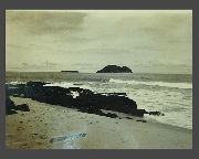 5.�ٻ�������˹������� ������������ �.�.2491 ����ش�����ԡ ���������Ѻ***�Ҥ��ö���Ф�Ѻ***