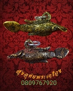 264.����ͧ�ҧ�ٻ ��Ҵ١������ҳ ���ѹ�� ���ͨѴ��Ҥ�Ѻ