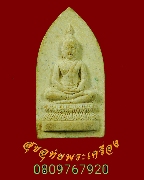 851.���������Ҫ���»� ��ѧ ���.���ǧ �.9 ����Ҫ�ҹ���Ե�Ŵ� ������֡�ú100 �� ��31 ���������*7